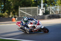 Advanced Group Multicolour Bikes